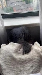 按在床边操叫声淫荡的丝袜人妻  有id认证