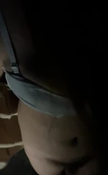 狗狗做任务 四平有小狗要做任务的嘛