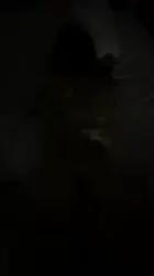 小少妇在黑暗下被我后入