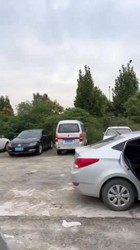 黑丝肛塞爽歪歪