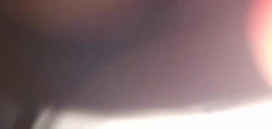 昨晚拍的