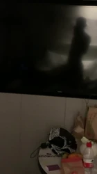 最爱的西安留学生母狗