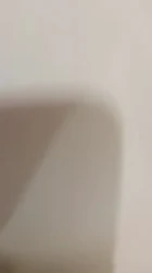 抽插粉嫩骚穴