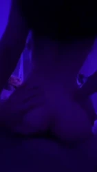 全自动模式