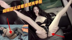 路虎姐蝴蝶B认证，回归第二部收蔵不迷路继续更