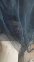 27岁以上单留方式