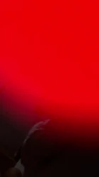 同事的屁股