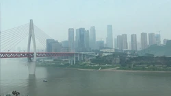 极品老婆的蝴蝶逼