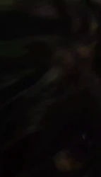 大连金州00后幼师母狗
