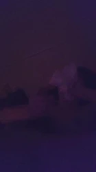 骑狗 1