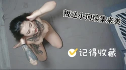 叛逆小狗露脸来袭是你们想象的吗后续看收藏