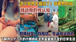 这个世界太疯狂了！大开眼界时刻挑战你的性认知 『狠货高科技看简阶』