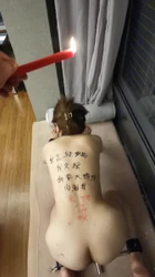 飘窗上玩K9滴蜡