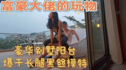 富豪的玩物:豪华别墅阳台爆插长腿模特