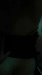 东北骚妇2