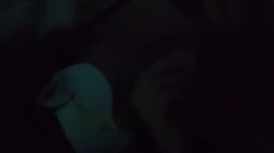 023重庆新狗