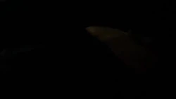 0731车震