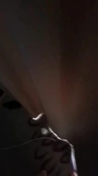 许昌母狗早上求操