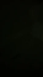 声音性感