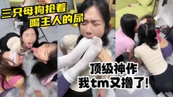 核弹级推荐！三只母狗穿瑜伽裤跪抢主人尿【陌陌探探过时了！看简阶用它】
