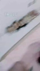 上官旖施 调教贱母狗