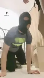 又养一条圈养狗