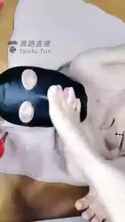 坐脸新视角