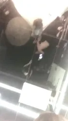 今天治文文