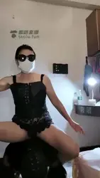 现场调狗奴