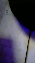 狠狠地收拾一晚叛变的狗