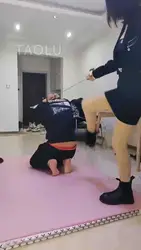 双S调教大笨狗