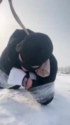 思诺 雪地的一场遛狗之旅