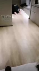 每天都有