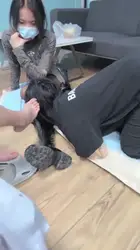 天津女仆 带着姐妹一起来被漂亮的女主人羞辱