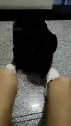 求学妹当她的母狗一个月终于收我了 下
