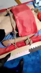 双主调刑奴