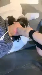 如厕 母狗来了