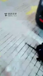 刺激的野外调教