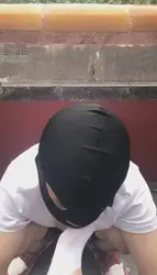 北海公园 随时随地玩狗