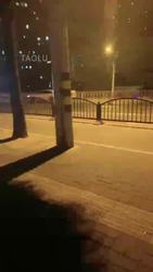 樱桃大大 一场说走就走的遛狗