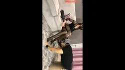 调教母狗 同好共享12