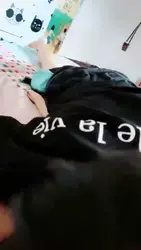 到处闻的狗