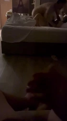 老婆第二次