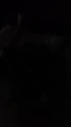 0731下贱母狗