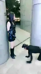 耻 街调 极贱人形母犬