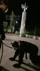 妮可 黑丝高跟 骑马