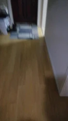 家庭随拍系列