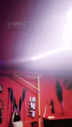 调教室玩狗奴
