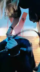 调教犯贱狗