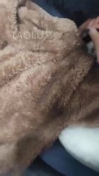 新人沐子 踩狗
